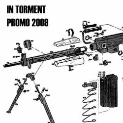 In Torment (MLS) : Promo 2009